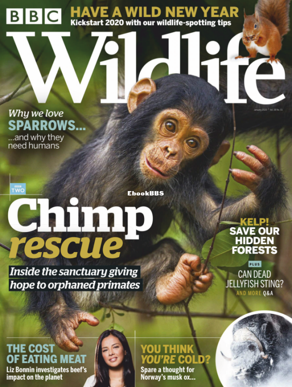 BBC Wildlife - 01.2020 - 1.png