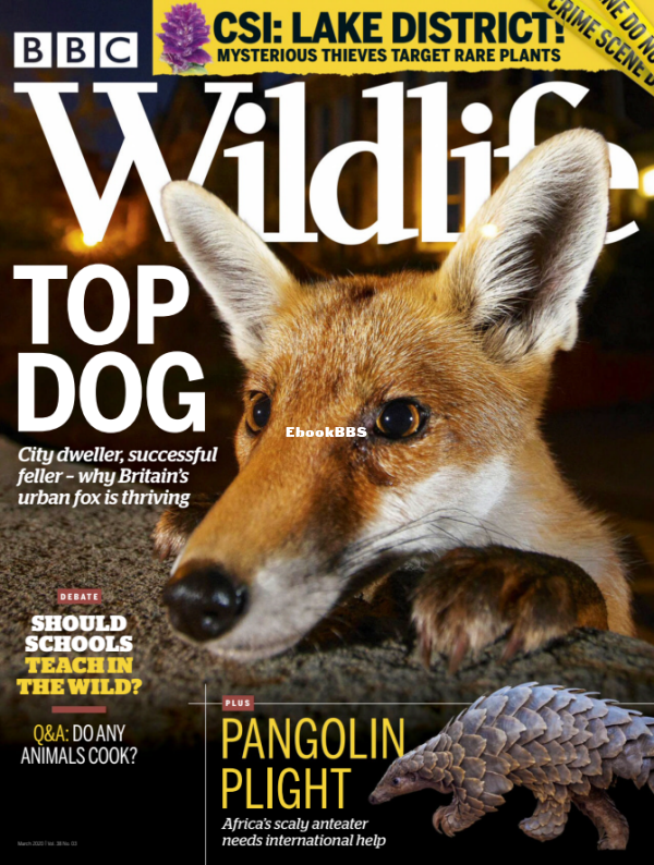 BBC Wildlife - 03.2020 - 1.png