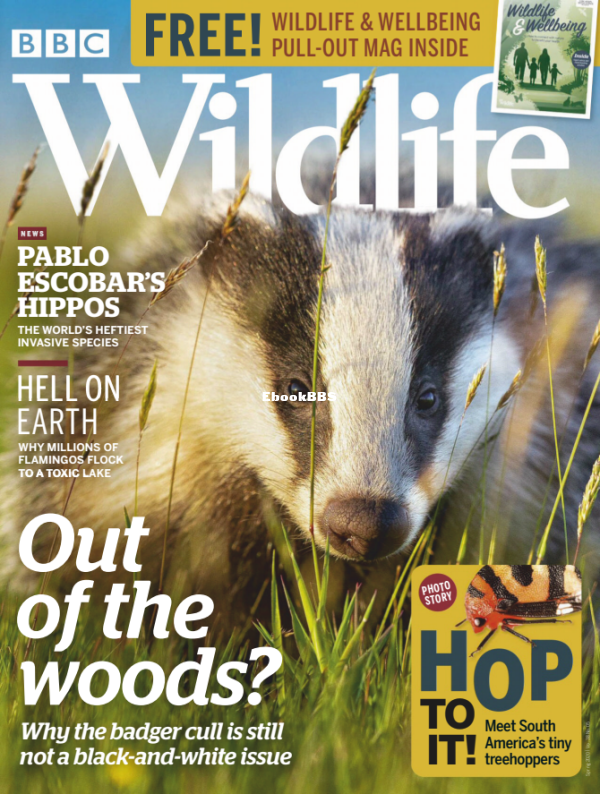 BBC Wildlife - 05.2020 - 1.png