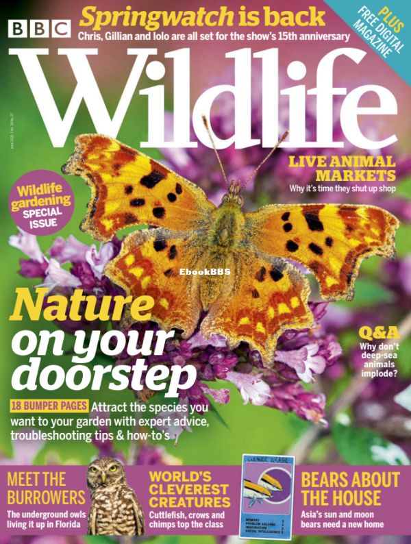 BBC Wildlife - 07.2020 - 1.png