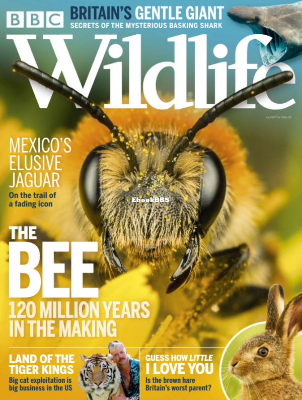 BBC Wildlife 08.2020 - 1.png