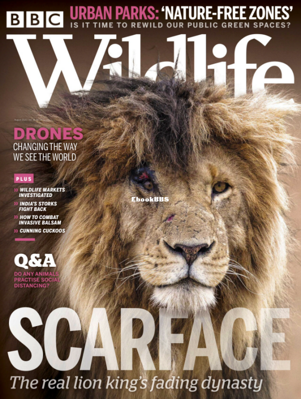 BBC Wildlife 09.2020 - 1.png