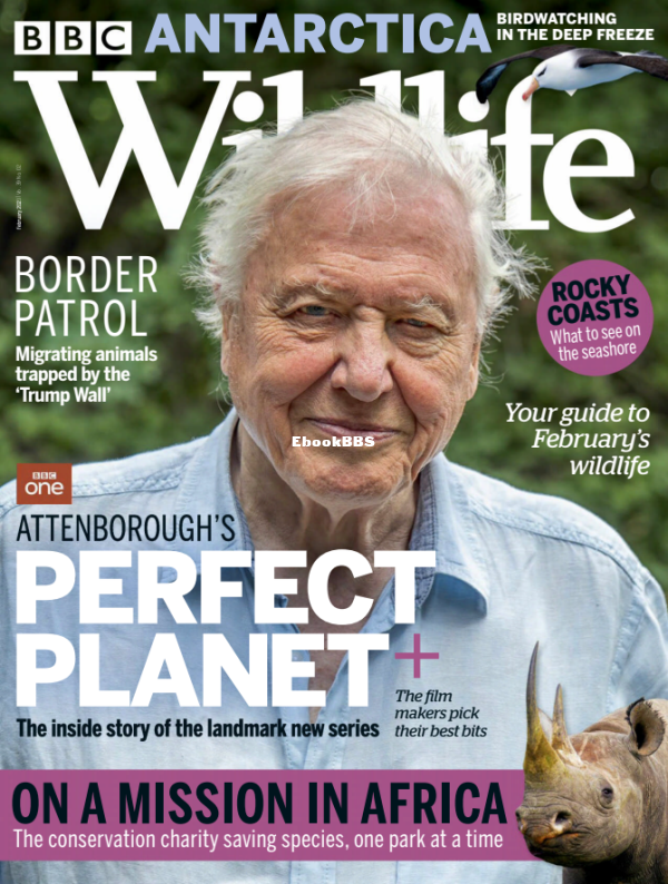 BBC Wildlife 02.2021 - 1.png