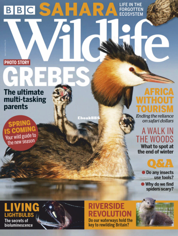 BBC Wildlife - 03.2021 - 1.png
