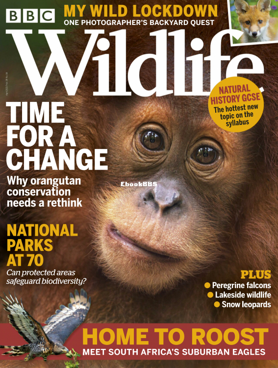 BBC Wildlife 04.2021 - 1.png