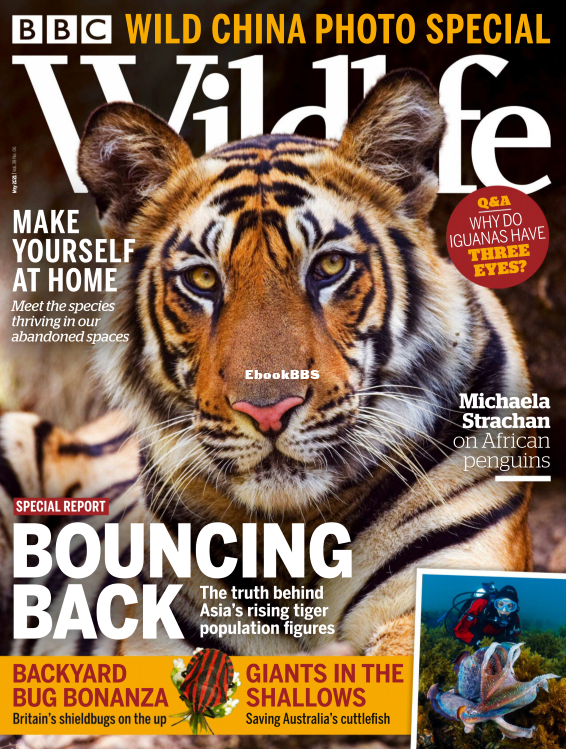 BBC Wildlife 06.2021 - 1.png