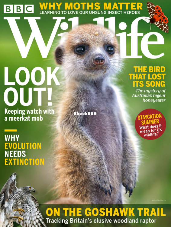 BBC Wildlife 08.2021 - 1.png
