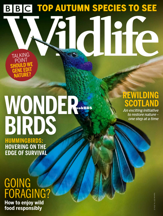BBC Wildlife 10.2021 - 1.png