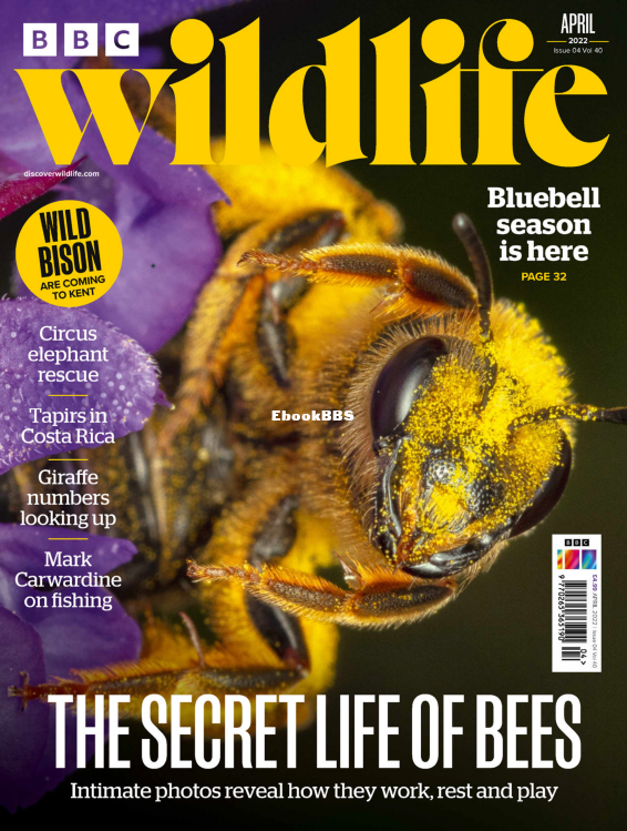 BBC Wildlife 04.2022 - 1.png