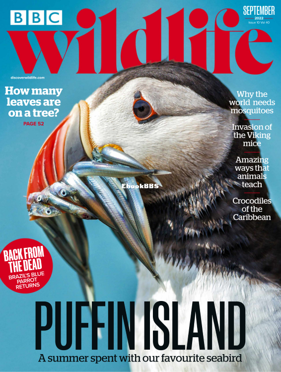 BBC Wildlife 10.2022 - 1.png