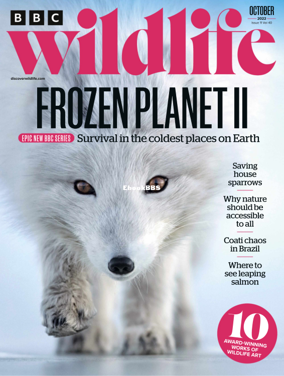 BBC Wildlife 11.2022 - 1.png