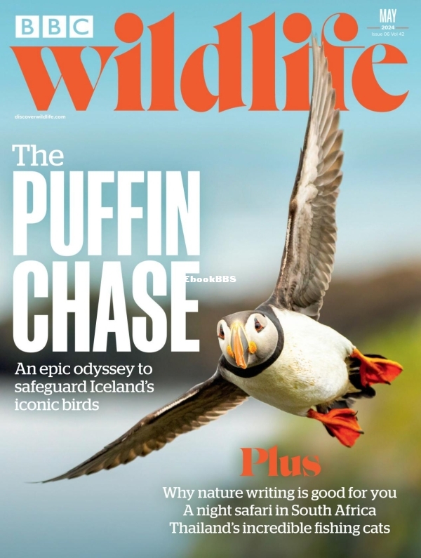 BBC Wildlife 06.2024 - 1.jpg