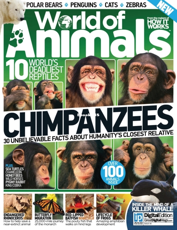 How It works World of Animals - Issue 06 2014_downmagaz.net - 1.jpg