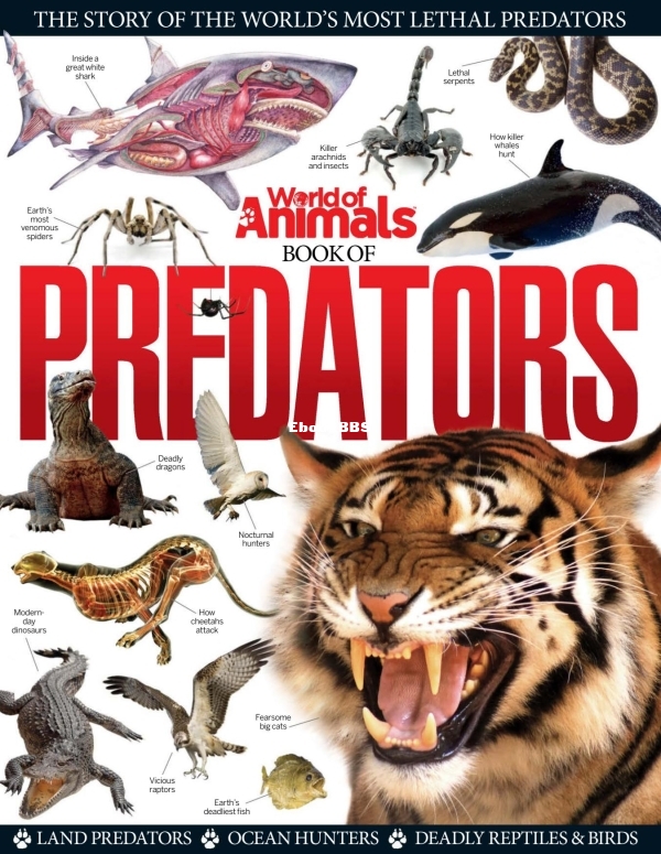 World of Animals Book of Predators Vol 1 - 2014  UK_downmagaz.net - 1.jpg