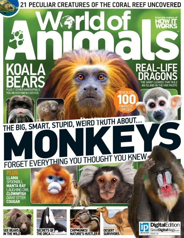 How It works World of Animals - Issue 19 2015 - 1.jpg