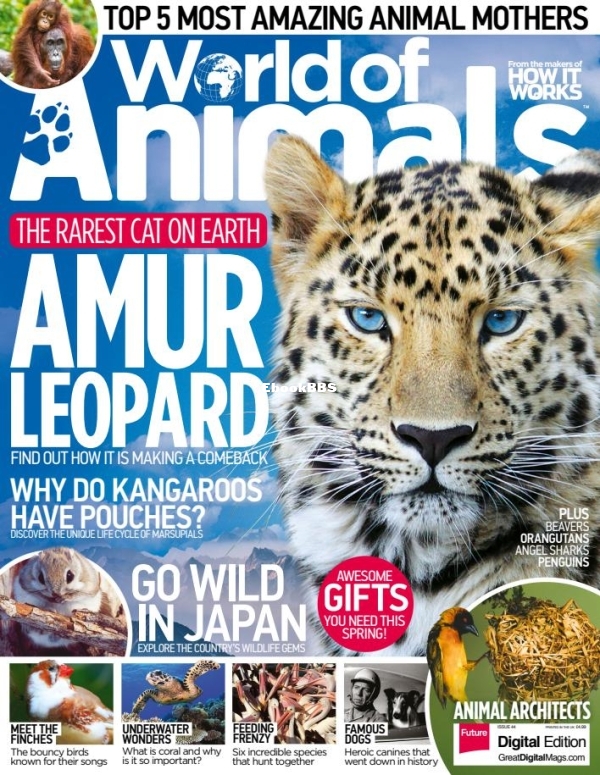World_of_Animals_Issue_44_2017 - 1.jpg