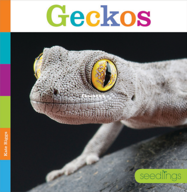 Geckos (Seedlings) - 1.png