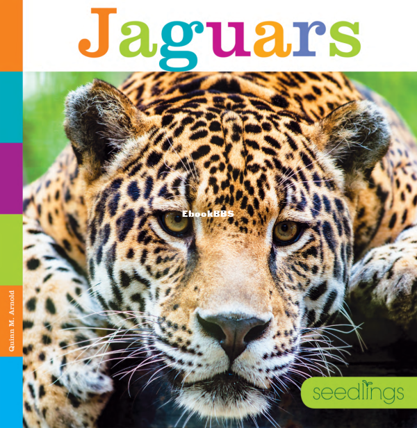 SEEDLINGS Jaguars - 1.png