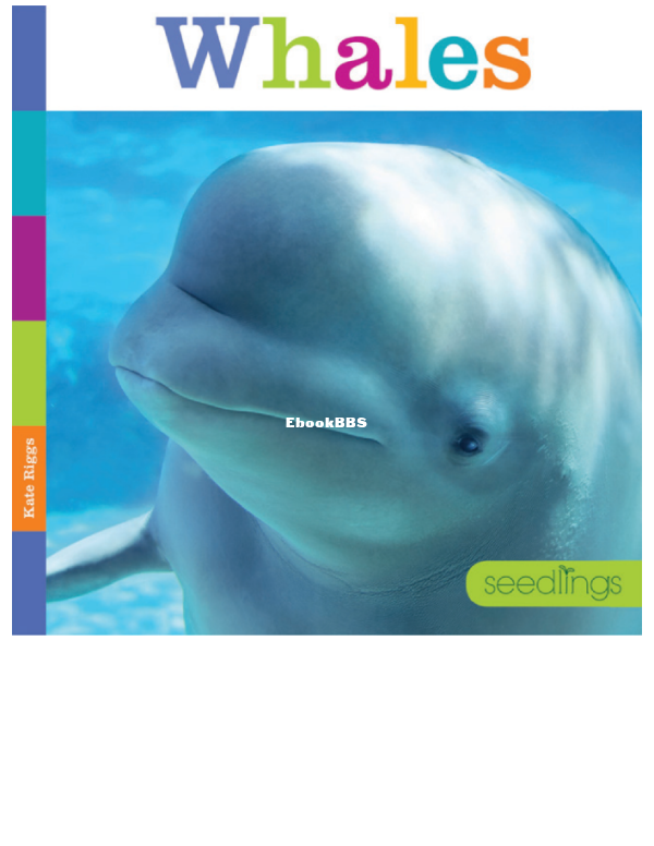 Whales (Seedlings) - 1.png
