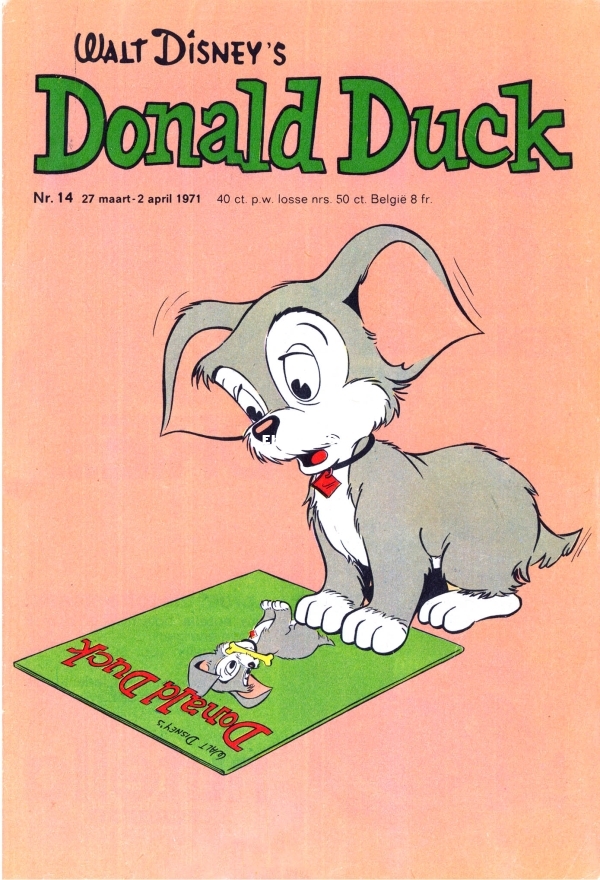 dd1971-14-01.jpg