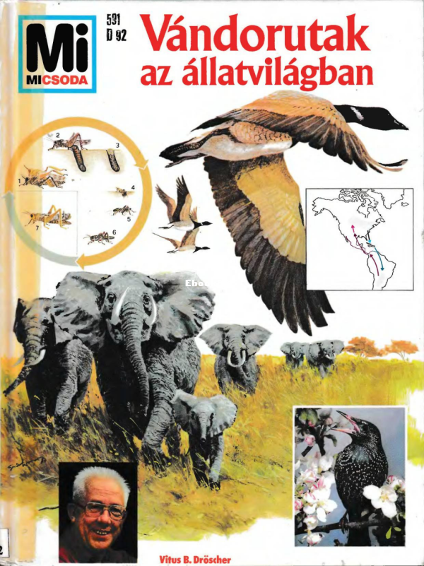 Mi micsoda 006 Dröscher V Vándorutak az állatvilágban - 1.png