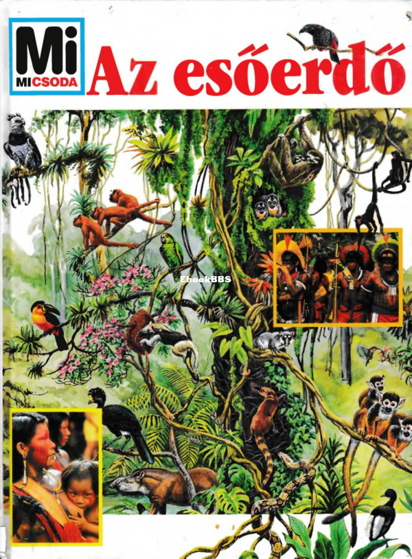 Mi micsoda 008 Mertiny Andrea Az esőerdő (1) - 1.png