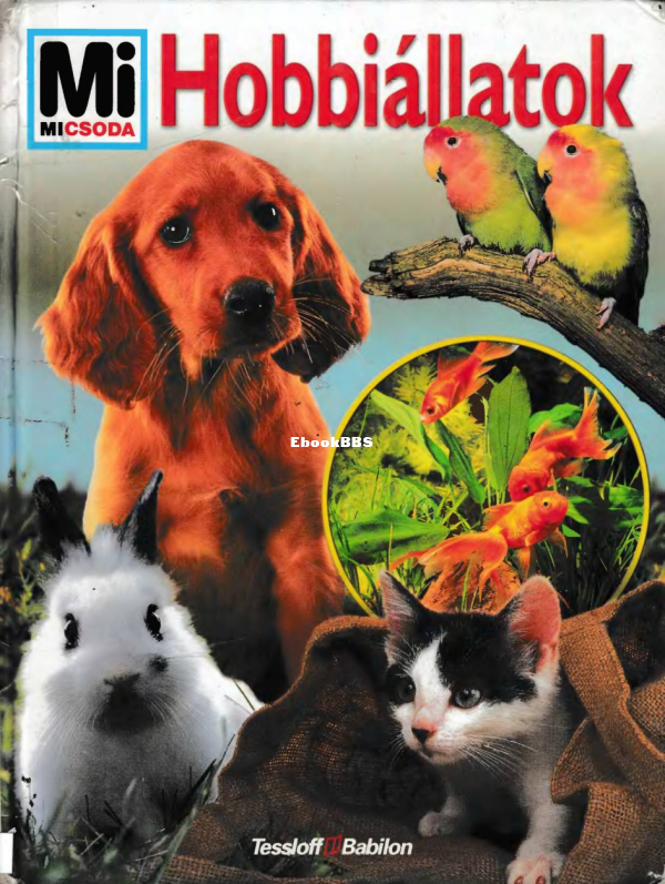 Mi micsoda 19 Sielmann H Hobbiállatok - 1.png