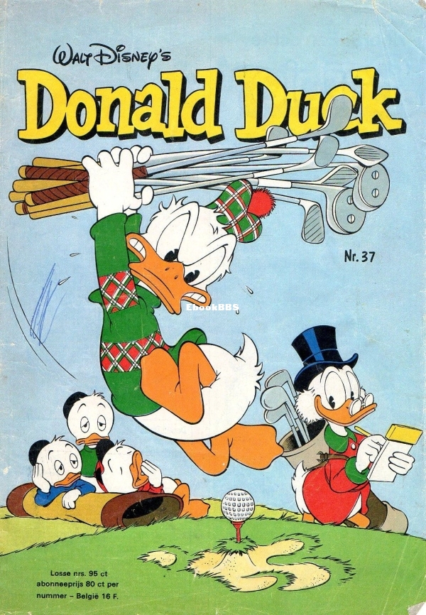 37.jpg