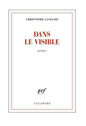 Dans le visible (Christophe Langlois) (Z-Library).jpg