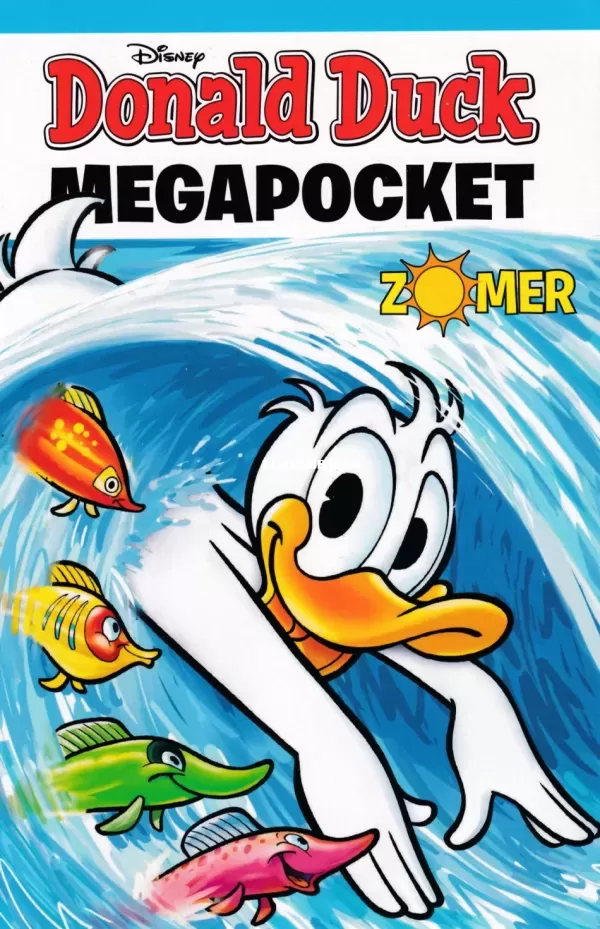 13.webp