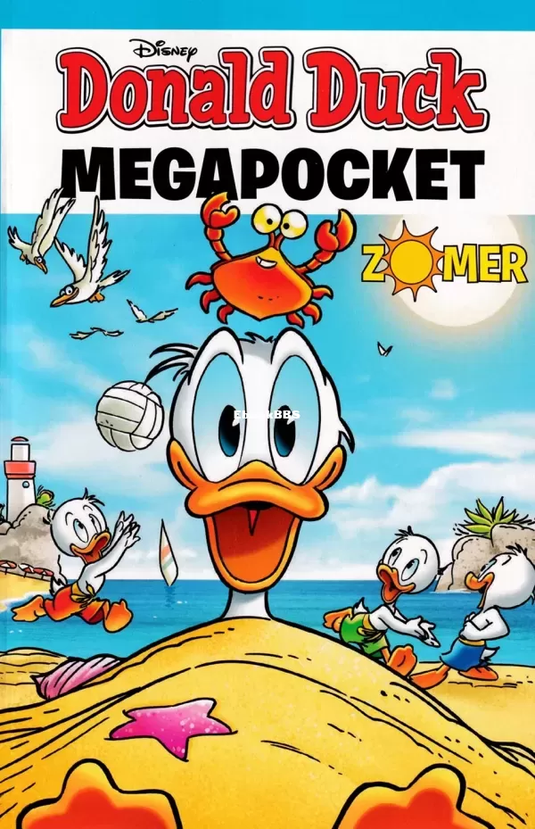 14.webp