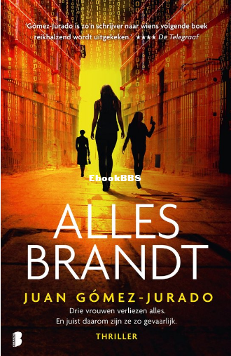 Screenshot_2025-03-16 Alles brandt (ebook), Juan Gómez-Jurado 9789402322385 Bo.png