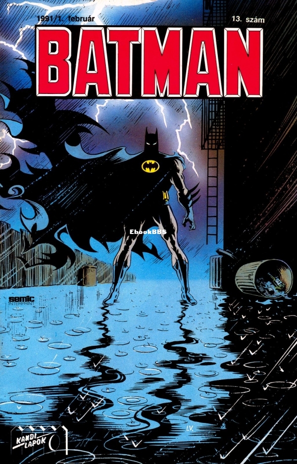 batman_13_00a.jpg