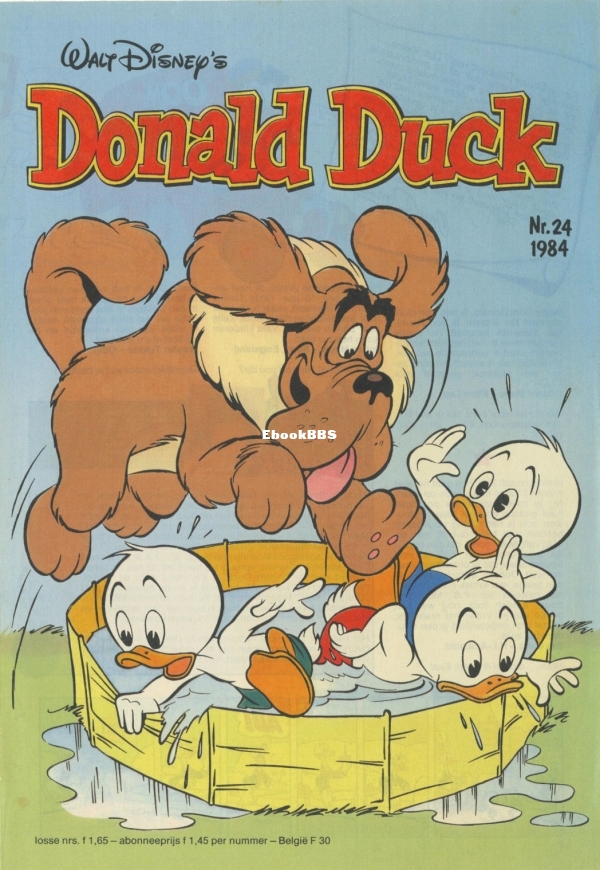 dd1984-24-01.jpg