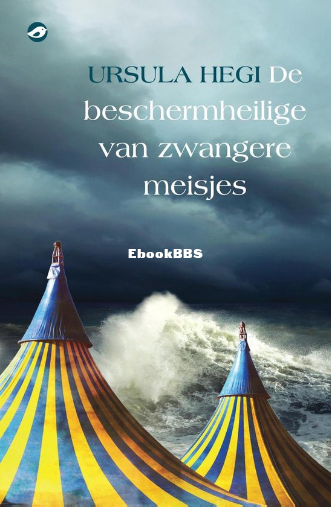 Screenshot_2025-03-20 De beschermheilige van zwangere meisjes (ebook), Ursula He.png