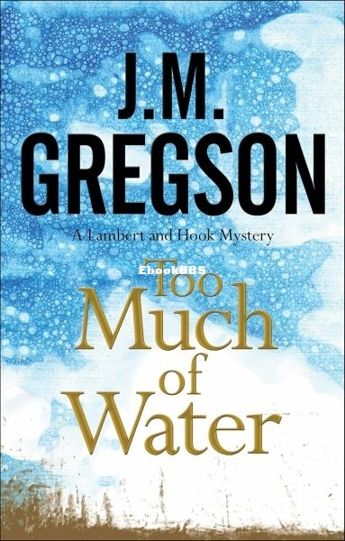 Too Much of Water.jpg