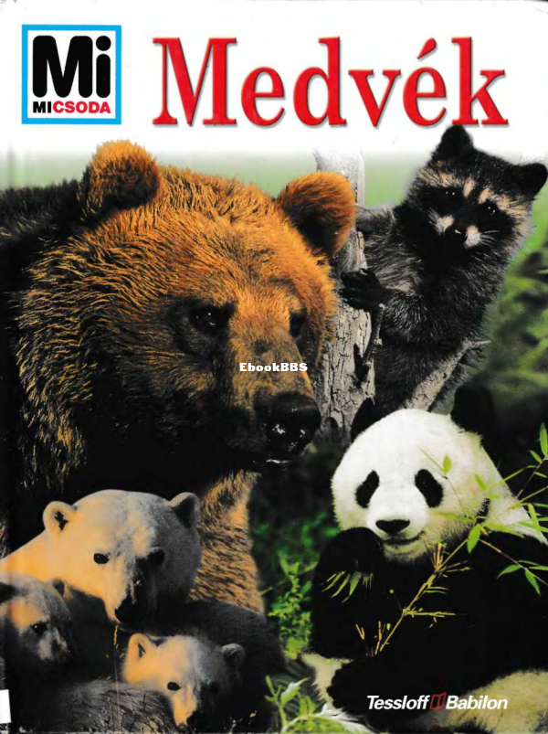 Mi micsoda 078 Ganslosser U Medvék - 1.png