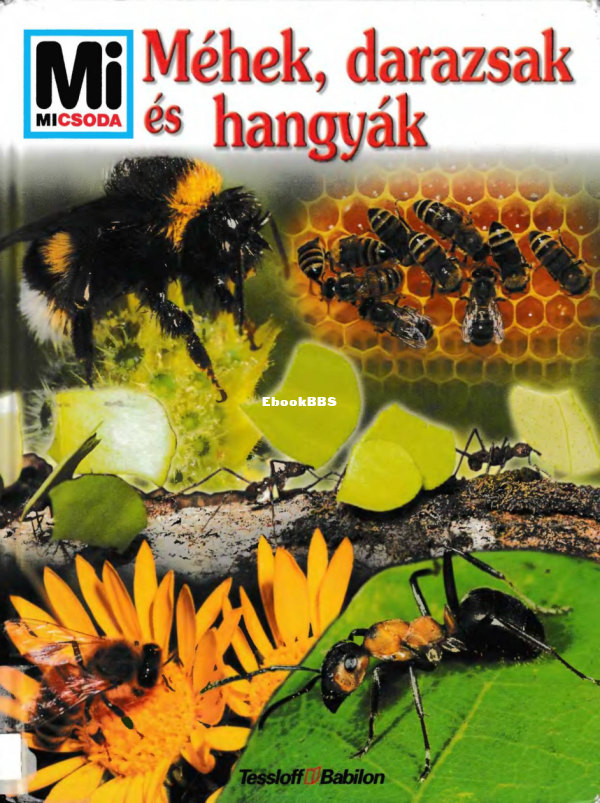 Mi micsoda 086 Steghaus-Kovac S Méhek, darazsak, hangyák - 1.png