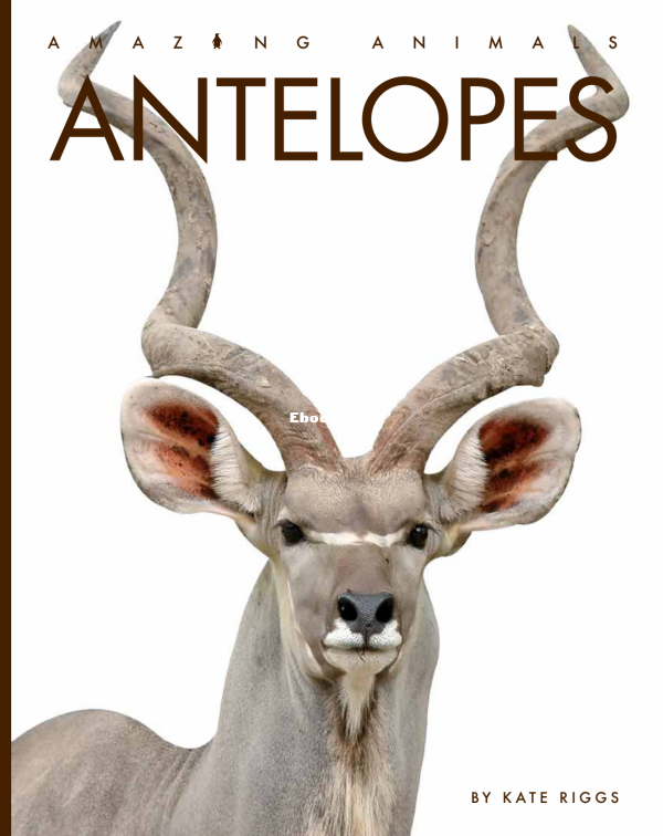 Antelopes (Amazing Animals) - 1.png
