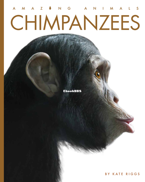 Chimpanzees (Amazing Animals) - 1.png