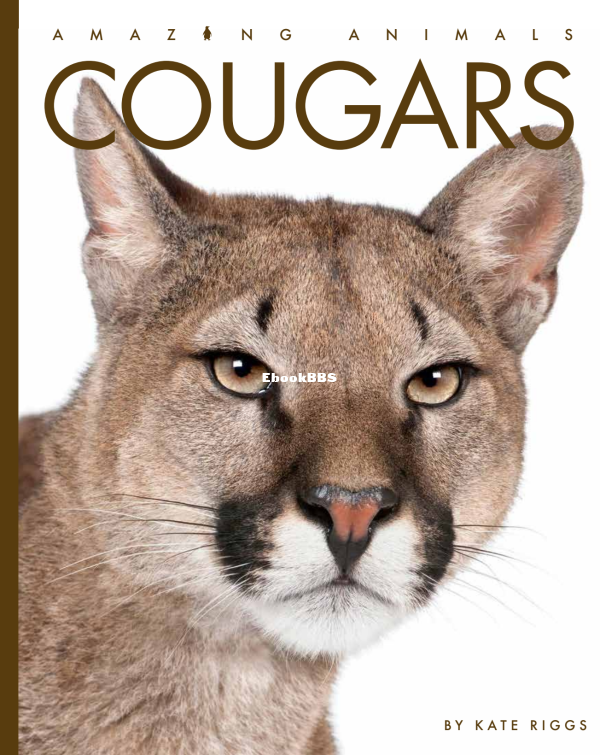 Cougars (Amazing Animals) - 1.png