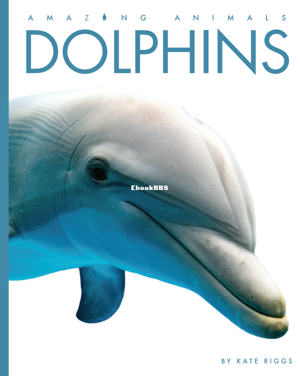 Dolphins (Amazing Animals) - 1.png