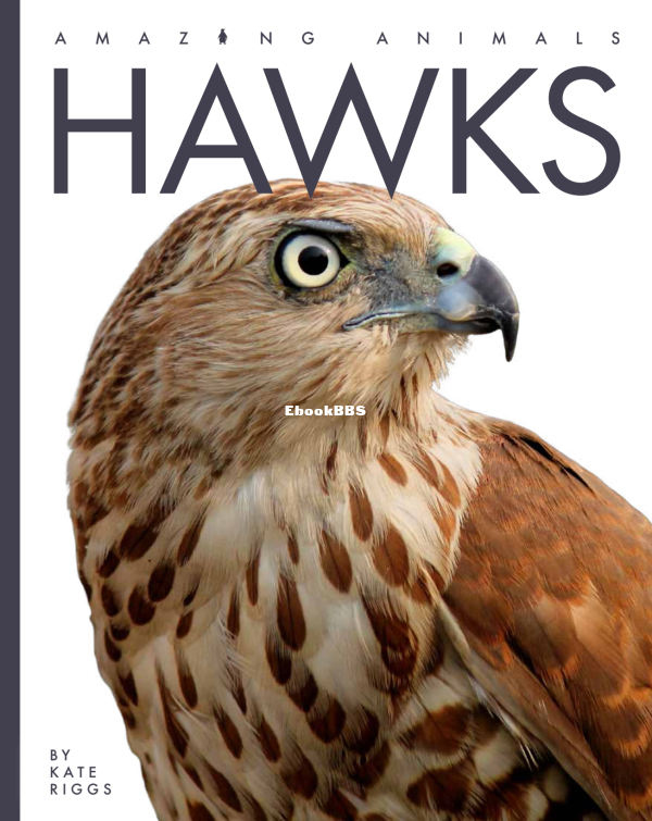 Hawks (Amazing Animals) - 1.png