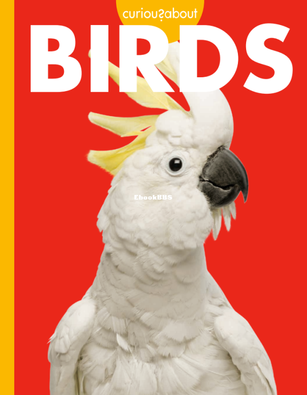 Birds (Curious About) - 1.png