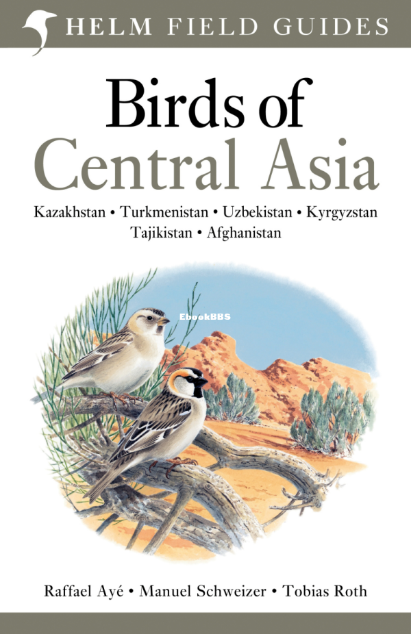 Birds of Central Asia Helmet - 1.png