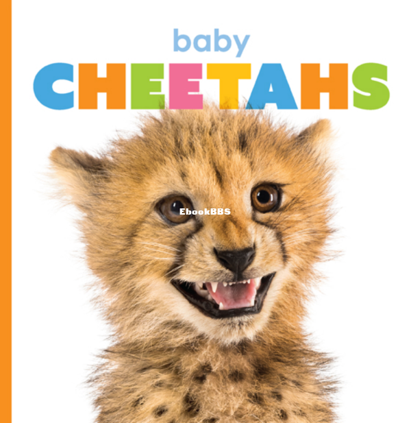 Baby Cheetahs (Starting Out) - 1.png