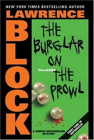 The Burglar on the Prowl.jpg