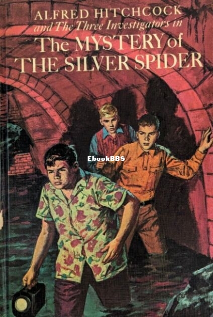 8 The Mystery of the Silver Spider.jpg