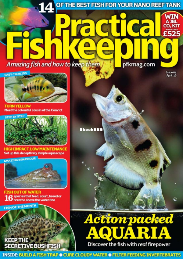 Practical Fishkeeping 04.2016 - 1.png