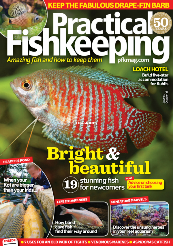 Practical Fishkeeping - October 2016 - 1.png